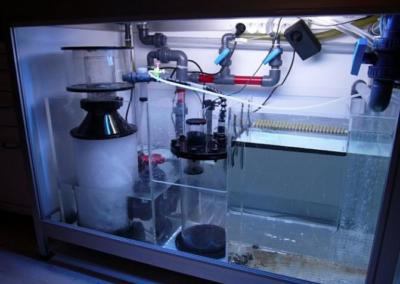 Filtr akwarystyczny do wody w akwarium